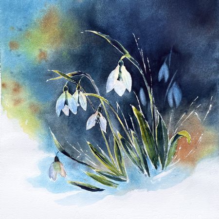 Akvarel maleri Vintergækker af Galina Landbo malet i 