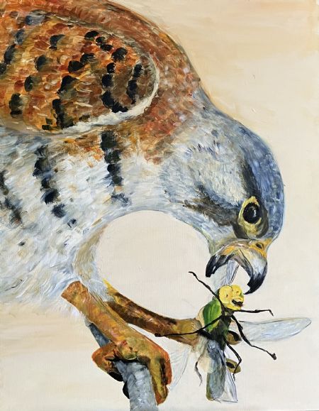 Akryl maleri Tårnfalken med guldsmede af Art by Joe Pearson malet i 2024