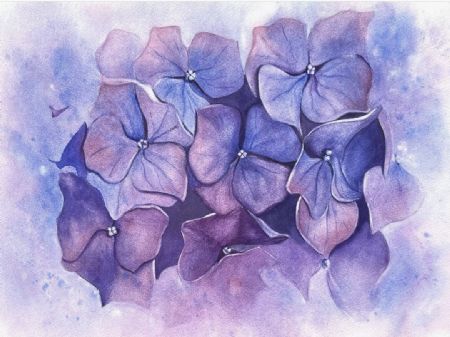 Akvarel maleri Hortensia af Galina Landbo malet i 