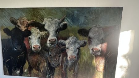 Olie maleri Curious Cows af Søren Gorm Rasmussen malet i 2022
