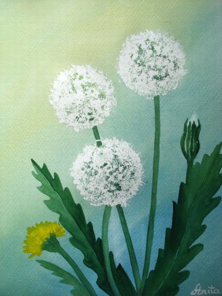 Akvarel maleri Mælkebøtte. af Anita malet i 2007