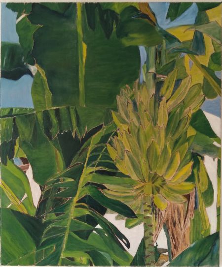 Olie maleri Bananplante af Marianne Laursen malet i 2015