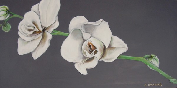 Akryl maleri orchide af Wainach malet i 2008