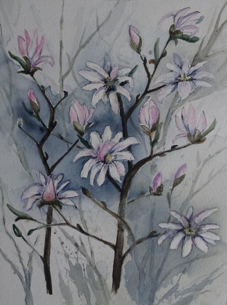 Akvarel maleri Stjerne magnolie af Ruth Grant malet i 2021