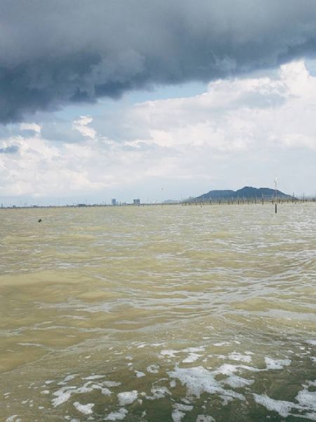 Collage maleri Nature's Sky and Sea af Ngo Ba Thai malet i 2015