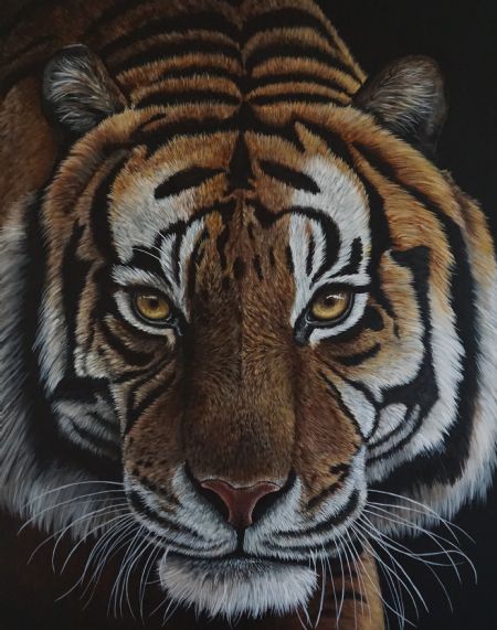 Akryl maleri Tiger af Sandra Gringer malet i 2022