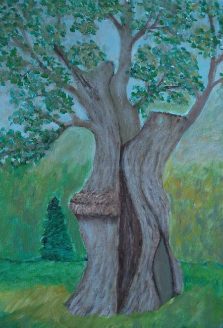 Akryl maleri Gammel oliventræ i Alcudia af Sadedin Asanovski malet i 2023